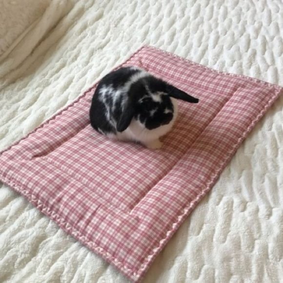 Cat Dog Pet Mat/Bed, Hello Kitty, Aqua,  18 x 24 - Picture 4 of 4